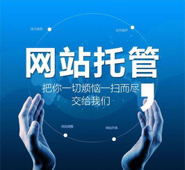 三门峡saas级网络营销推荐 谷雨供