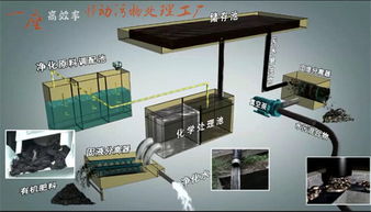【东莞市厂家直销甩干式固液分离吸粪车直抽直排现场处理无害化出清水的全自动吸粪车】- 