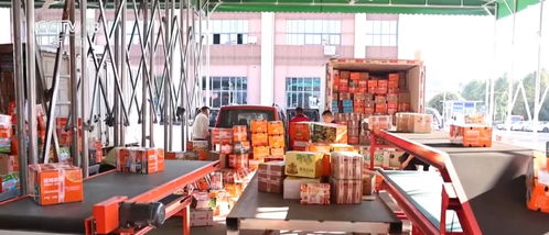 网络零售实现开门红 消费新热点不断涌现拉动市场增长